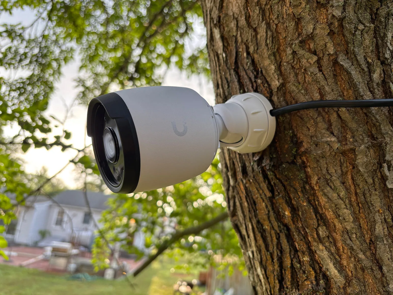 Ubiquiti security camera discreetly mounted in a tree for extended coverage.